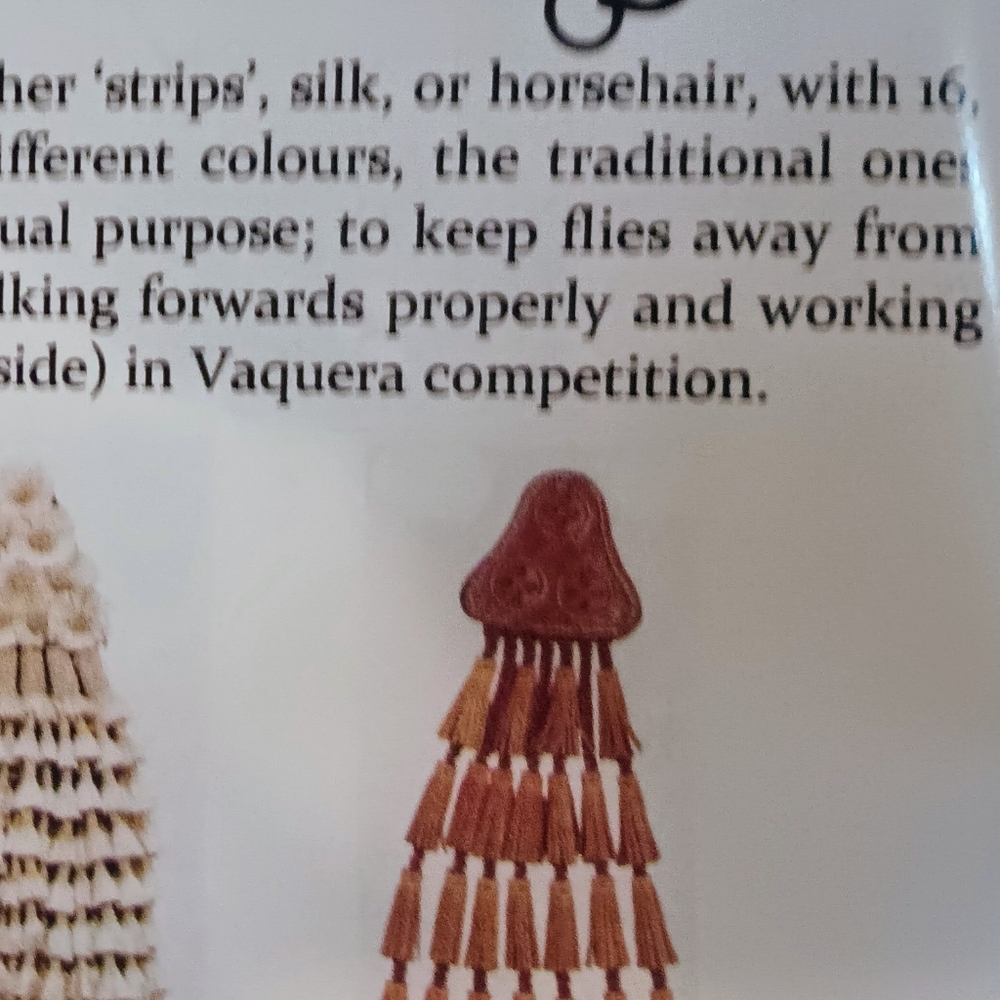 Mosqueros - Picture 5 of 5